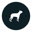 Ideal For Small Breeds Icons