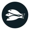 Sustainably Sourced Salmon Icons